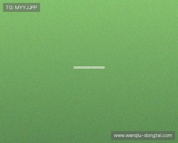 波胆代理怎么找精准客户电子真人防骗避坑技巧